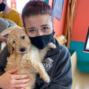 Meet your Posher, Aimee